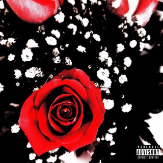 RED ROSE FANTASY