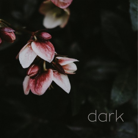 Dark | Boomplay Music