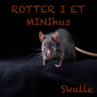 Rotter i et minihus