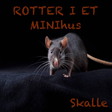 Rotter i et minihus | Boomplay Music