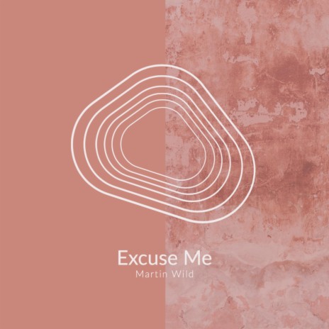 Excuse Me (Again) | Boomplay Music
