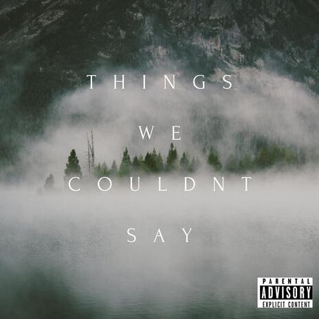 Things We Couldn't Say ft. Leakz 2.0 | Boomplay Music