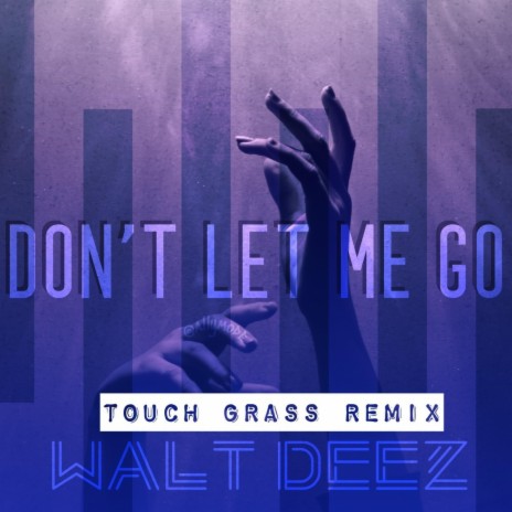 Dont Let Me Go (Touch Grass Remix) ft. Touch Grass | Boomplay Music