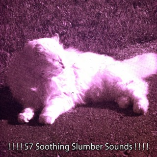 ! ! ! ! 57 Soothing Slumber Sounds ! ! ! !