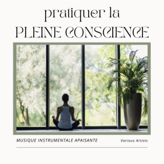 Pratiquer la pleine conscience: Musique instrumentale apaisante pour la méditation, relaxation et clairvoyance