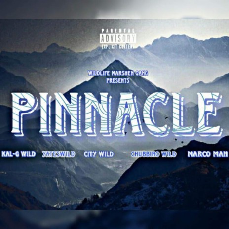 Pinnacle ft. City Wild, Yates Wild, Marco Man & Chubbino Wild