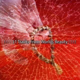 ! ! ! ! 51 Tracks From Worlds Beauty ! ! ! !