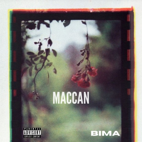 MACCAN | Boomplay Music