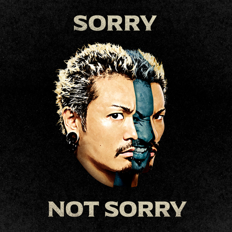 Sorry Not Sorry | Boomplay Music