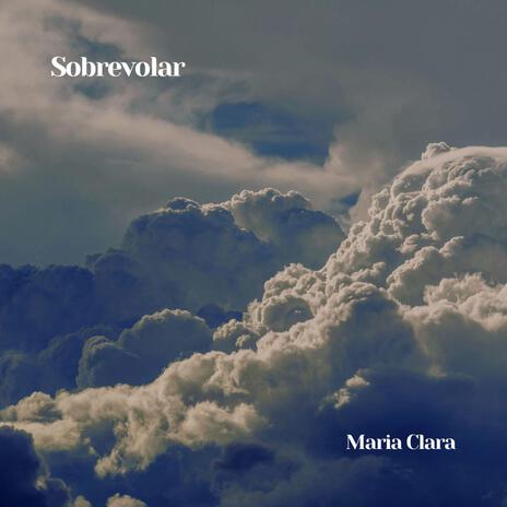 Sobrevolar