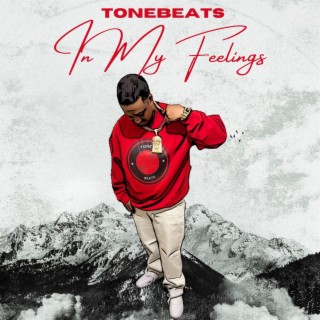 In My Feelings Vol1