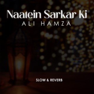 Naatein Sarkar Ki Lofi