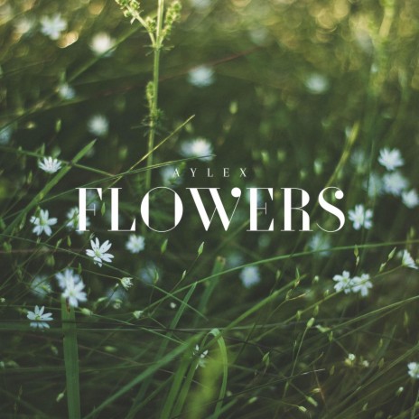 Flowers | Boomplay Music