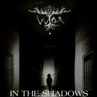 In the Shadows lyrics | Boomplay Music