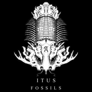 Fossils