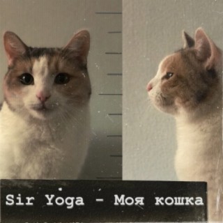 Sir Yoga