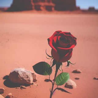 Desert Rose