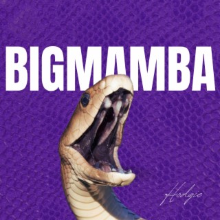 Big Mamba lyrics | Boomplay Music