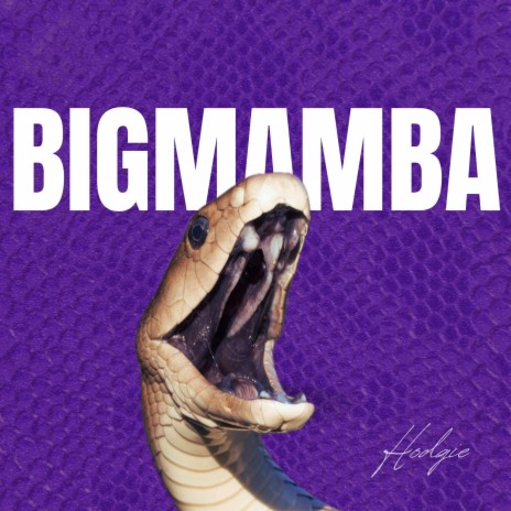 Big Mamba | Boomplay Music