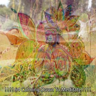! ! ! ! 64 Calming Down To Meditate ! ! ! !