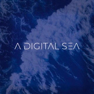 A Digital Sea