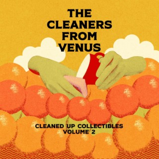 Cleaned Up Collectibles Volume 2