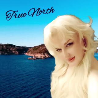 True North