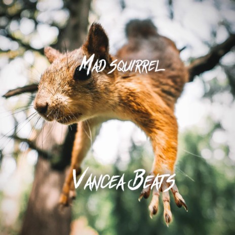 Mad Squirrel (Drill beat) | Boomplay Music