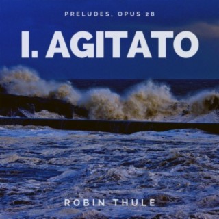 Preludes, Op.28: NO. 1. Agitato