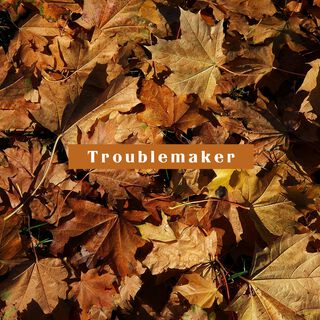 Troublemaker