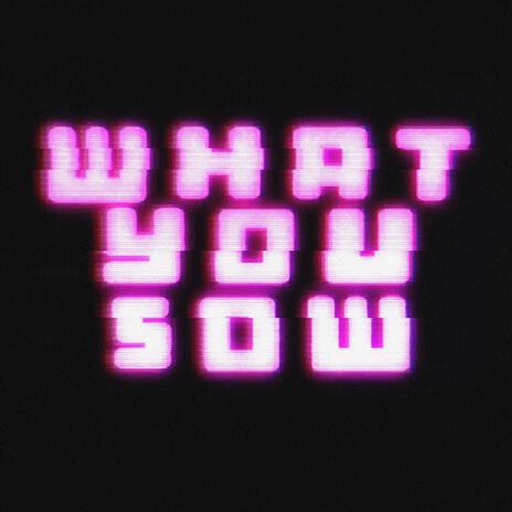 What You Sow | Boomplay Music