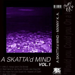 A Skatta'd Mind, Vol. 1