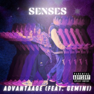 Senses