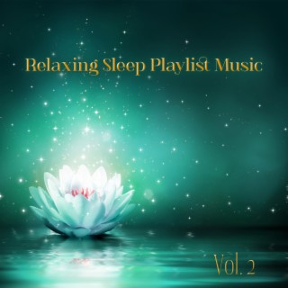 Relaxing Sleep Playlist Music Vol. 2