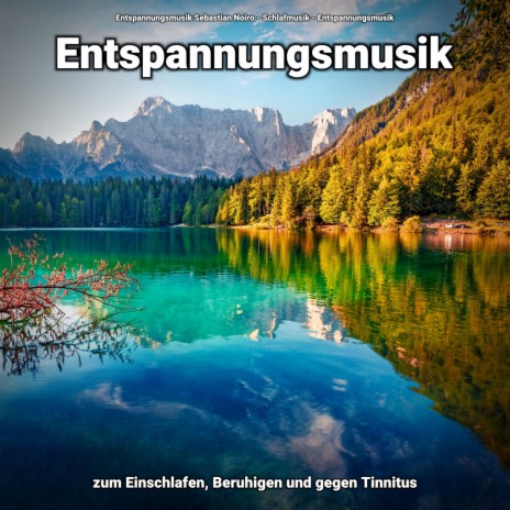 Instrumental für den Tiefschlaf ft. Schlafmusik & Entspannungsmusik Sebastian Noiro | Boomplay Music