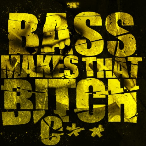 Bass Makes That Bitch Cum