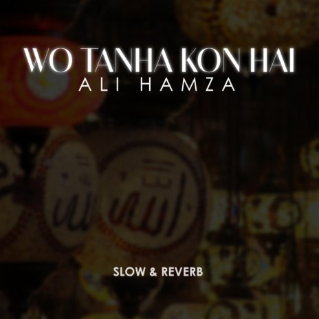 Wo Tanha Kon Hai Lofi | Boomplay Music