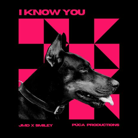 I Know You | Boomplay Music