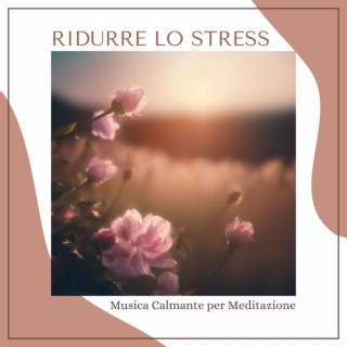 Ridurre lo Stress: Musica Calmante per Meditazione Anti Stress ed Auto Guarigione