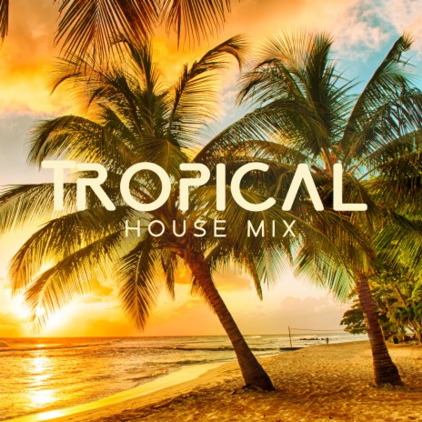 Tropical & Deep House