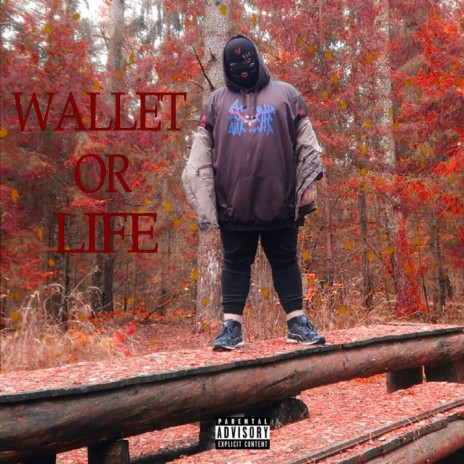 Wallet or Life | Boomplay Music