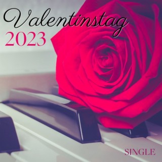 Valentinstag 2023: Single