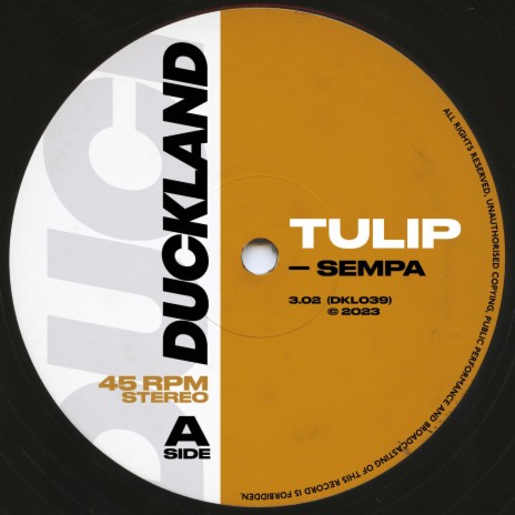 TULIP | Boomplay Music