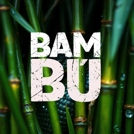 Bambú ft. Marcelo Filippo | Boomplay Music