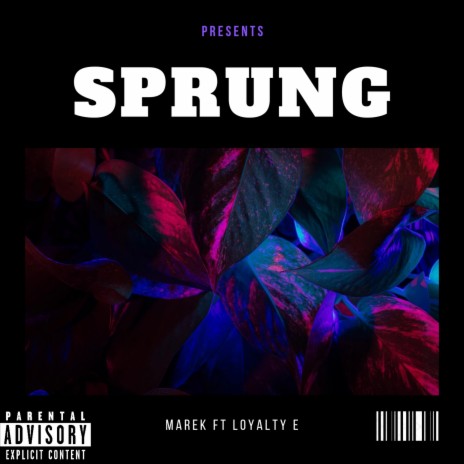 Sprung ft. Loyalty E | Boomplay Music