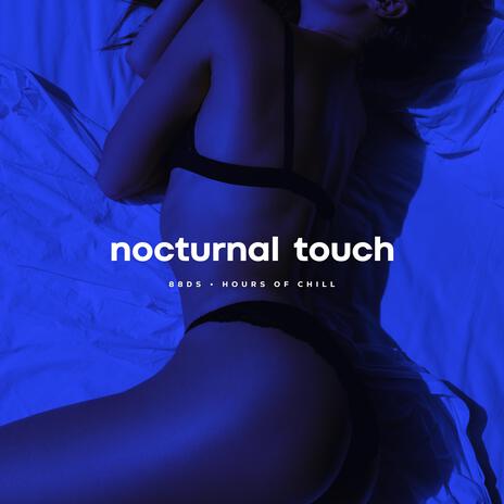 Nocturnal Touch (Sexual Seductive Lofi Beat) | Boomplay Music