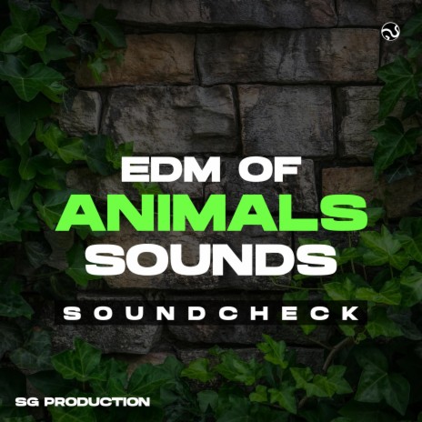 Soundcheck | EDM of Animals Sounds | Boomplay Music