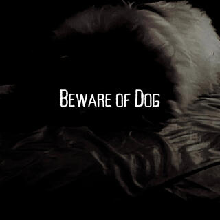 Beware of Dog