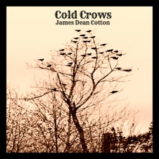 Cold Crows (Remastered)