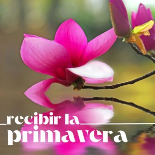 Recibir la Primavera: Mejor Colección de Sonidos Naturales para Sanación Espiritual y Despertar